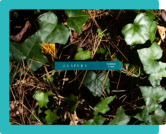 Vapura is among the first dedicated wellness inhalation products built around glutathione as its lead active ingredient, with its scientific rationale drawn from nebulized glutathione research.